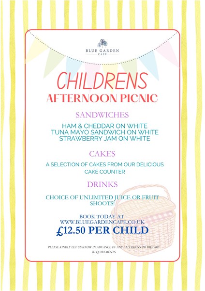 Children's Afternoon Picnic