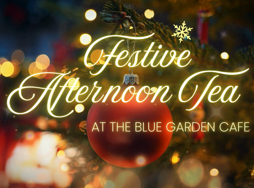 Festive Afternoon Tea